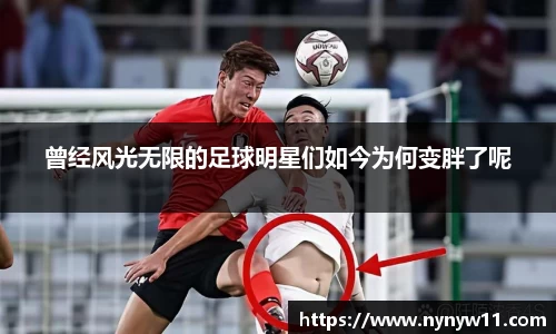 平博pinnacle体育官方网站